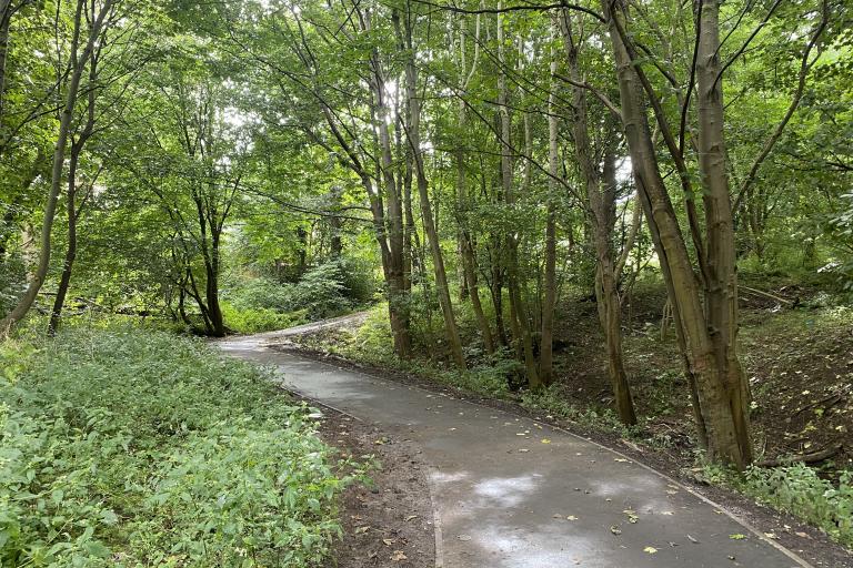 A path winding through a wooded area.
